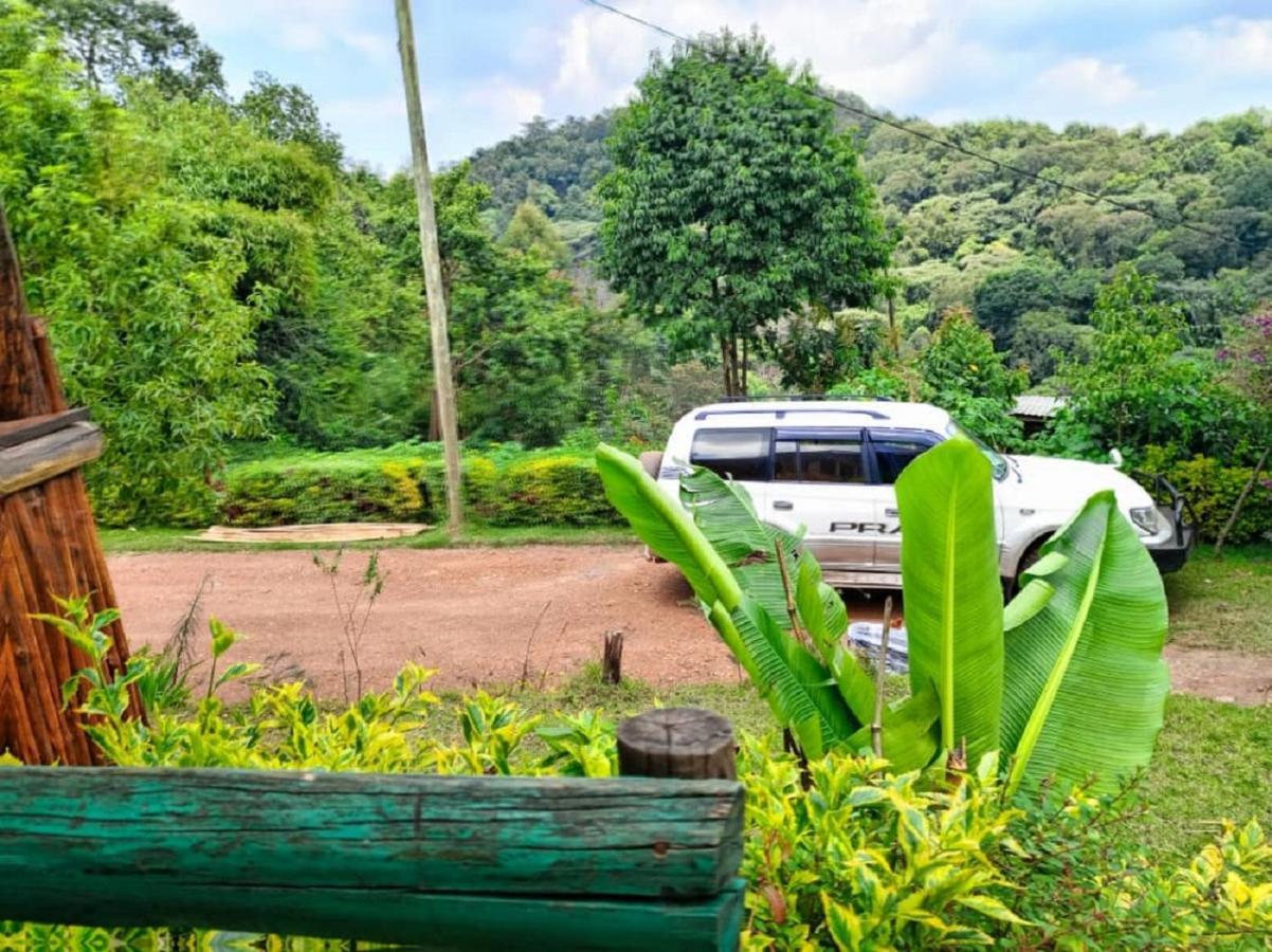 Ruhija Community Rest Camp Bed and Breakfast Kabale Eksteriør billede