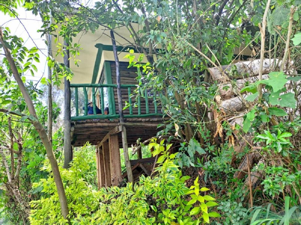 Ruhija Community Rest Camp Bed and Breakfast Kabale Eksteriør billede