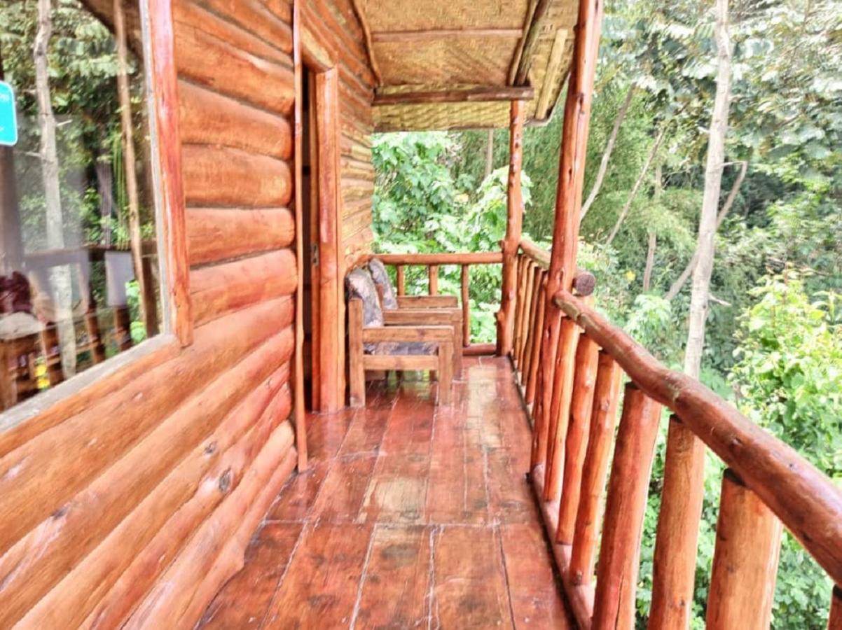 Ruhija Community Rest Camp Bed and Breakfast Kabale Eksteriør billede