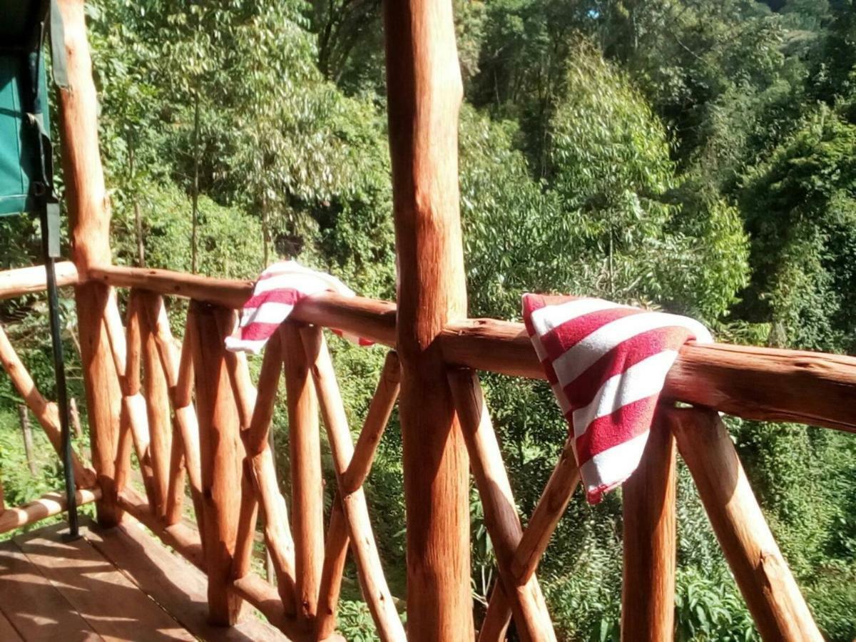 Ruhija Community Rest Camp Bed and Breakfast Kabale Eksteriør billede