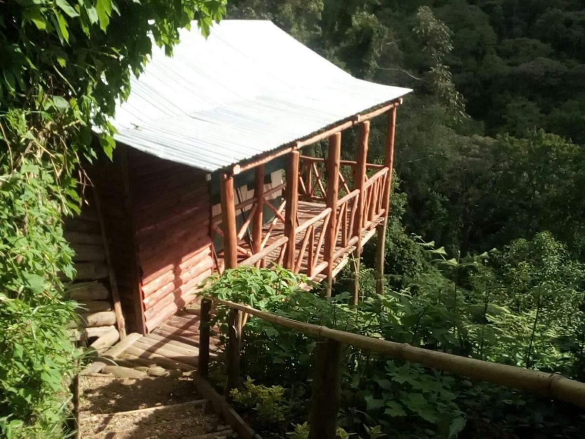 Ruhija Community Rest Camp Bed and Breakfast Kabale Eksteriør billede