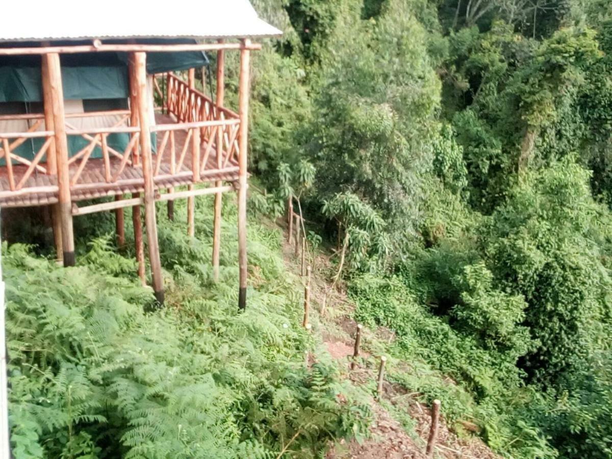 Ruhija Community Rest Camp Bed and Breakfast Kabale Eksteriør billede