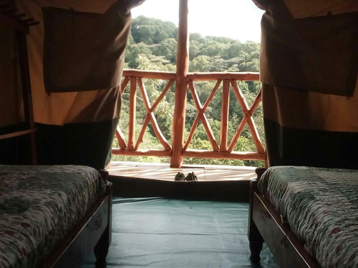 Ruhija Community Rest Camp Bed and Breakfast Kabale Eksteriør billede